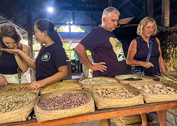 Visit the Luwak Civet Coffee Farm