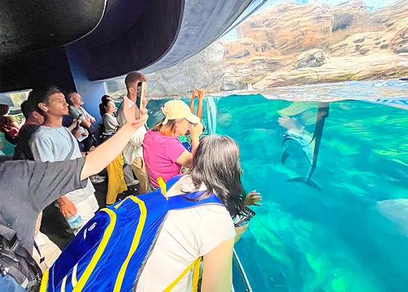 Tourists in Kaiyukan Aquarium