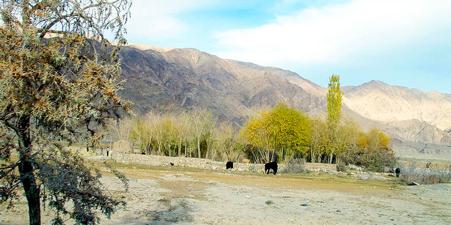 Autumn Scenery in Karakorum