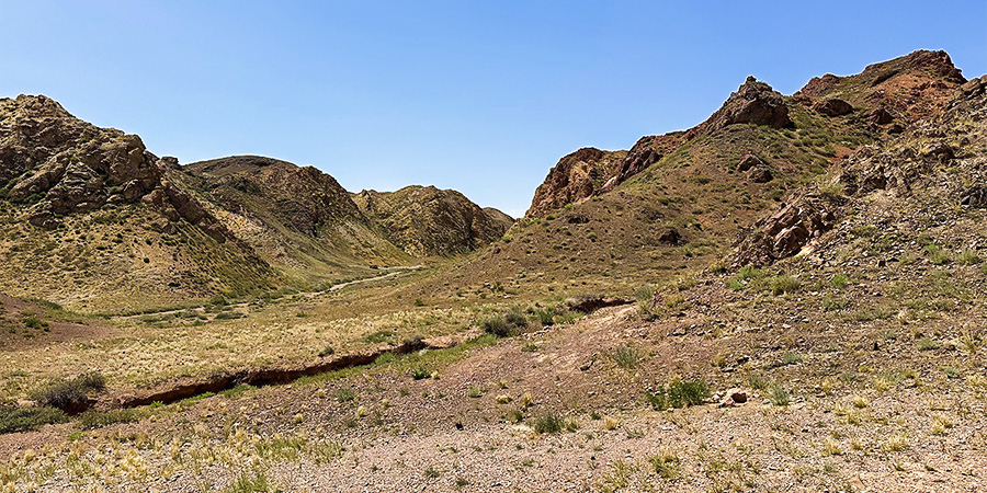 Barren Ground in April
