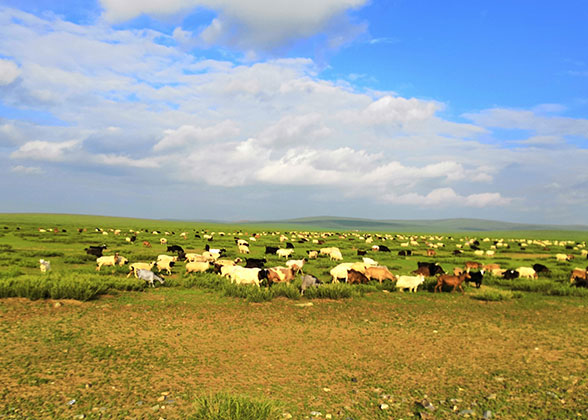 Abundant Sunshine in Karakorum