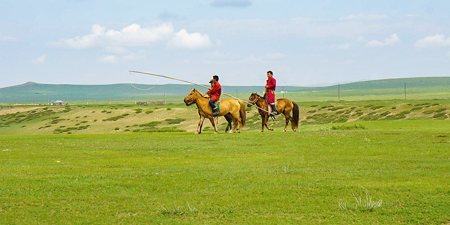 Horse Riding on Grassland