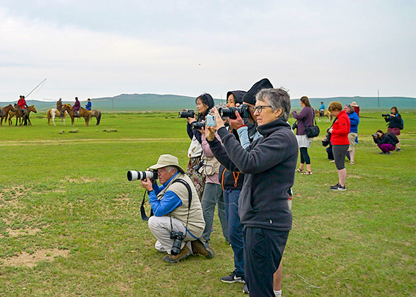Dressing on Grassland in June
