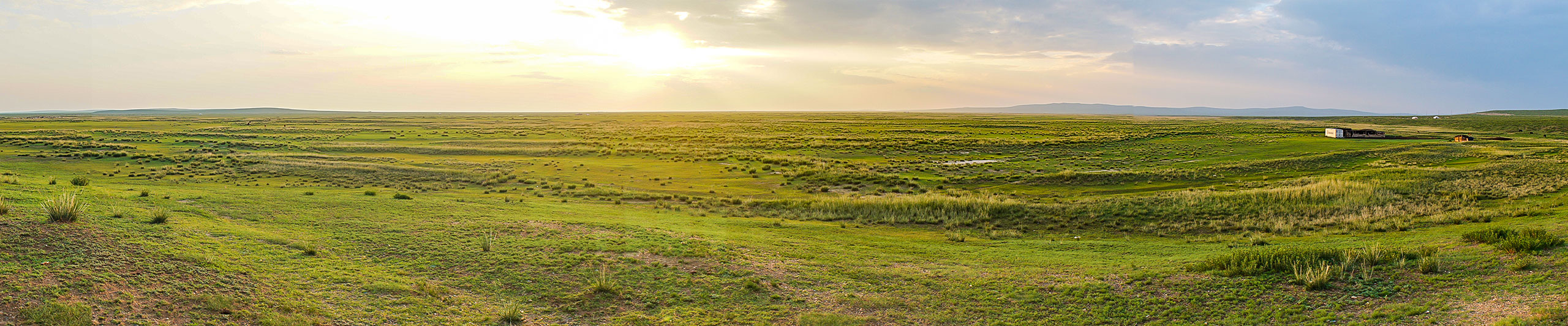 Karakorum Grassland in Early September