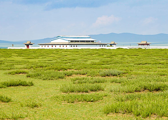 Luxuriant Grassland in Summer