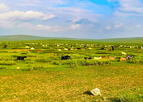 Abundant Sunlight in Karakorum