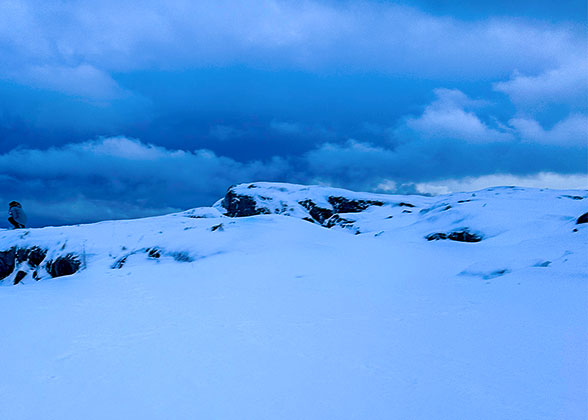Snow-covered Landscape in Winter