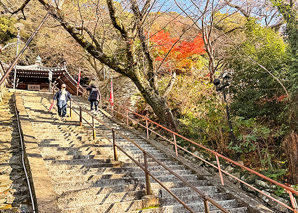 Kirishima Jingu Shrine