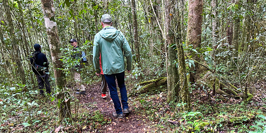 Kuroshio-no-Mori Mangrove Park