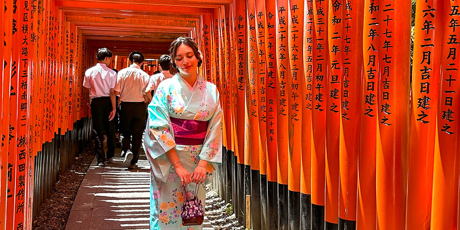 Take Pictures under Torii Gates