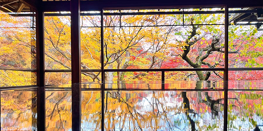 Red Foliage Reflection