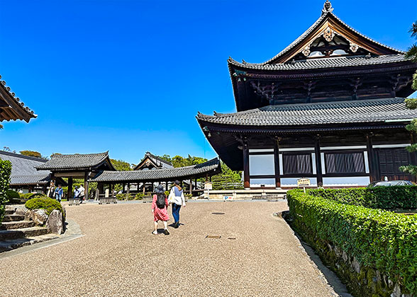 Tofuku-ji Temple in July