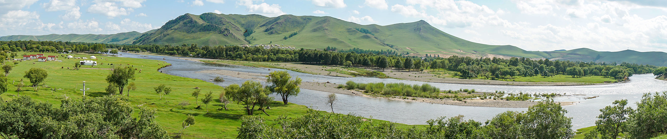 Lush Ulaanbaatar in August