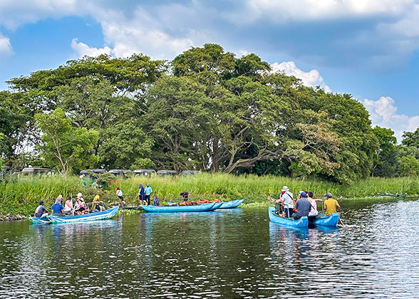 Madu River Boat Safari