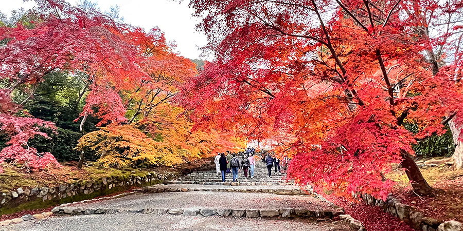Maizuru Park in Autumn