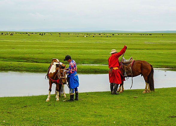Boundless Grassland in Mongolia