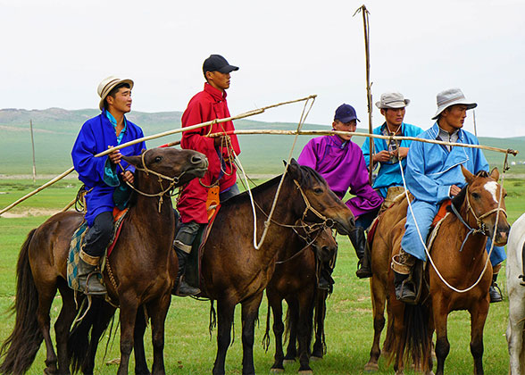 Mongolian Herders