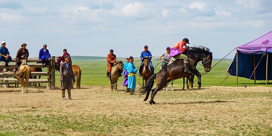 Mongolian Horse Racing