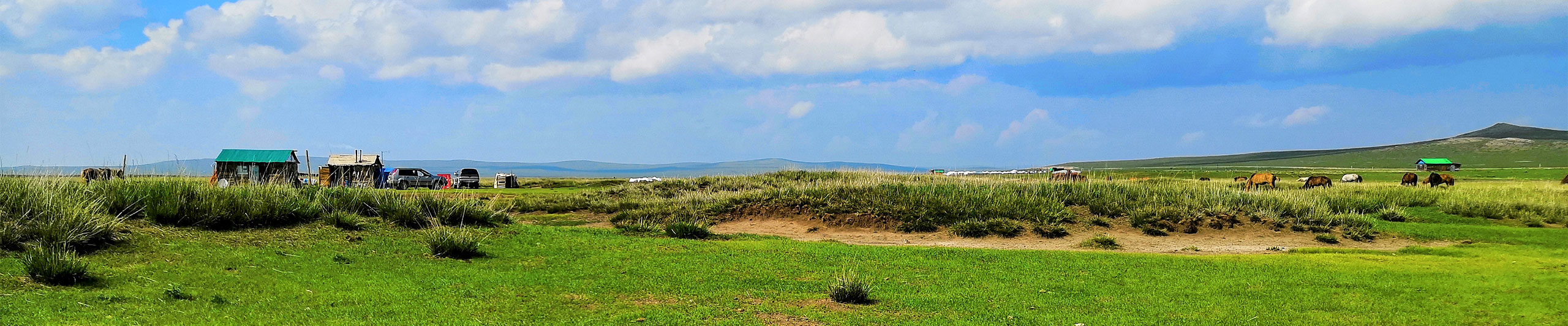 Best Time to Visit Mongolia