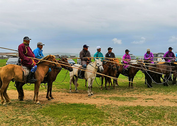 Mongolian Herders