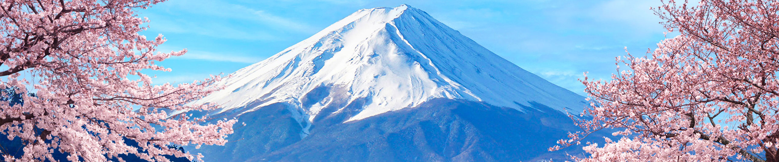 Mt. Fuji with Sakura