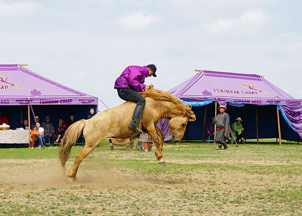 Horse Racing at the Nadaam