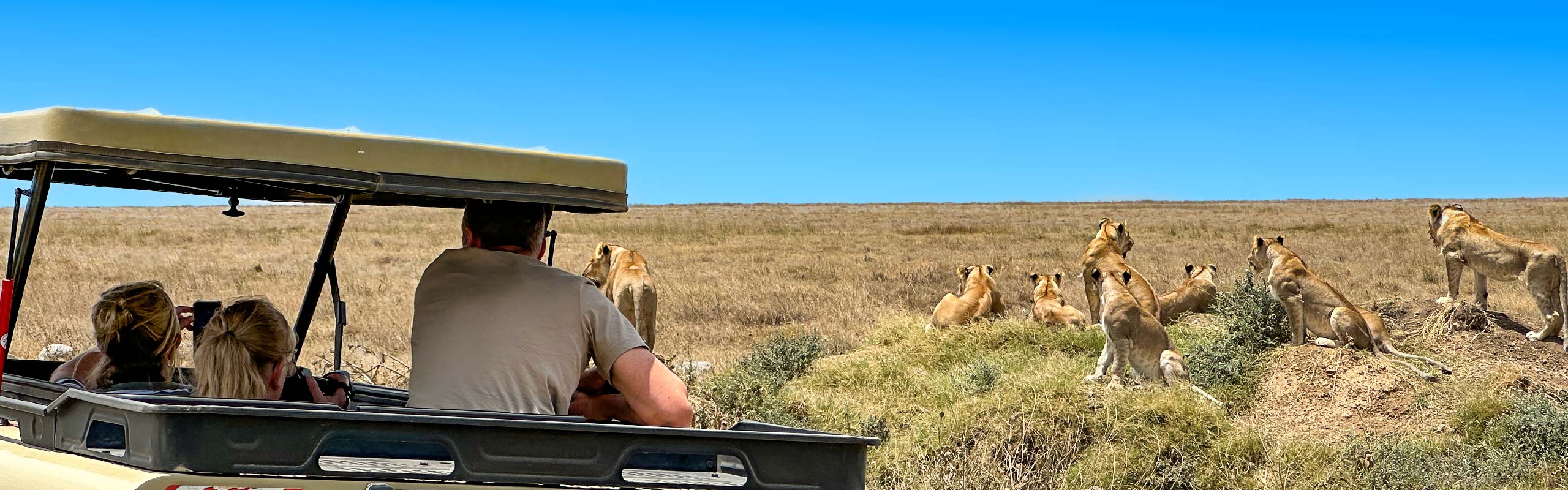 Namibia Game Drive