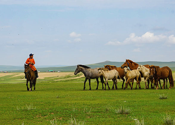 Nomadic Life in Mongolia