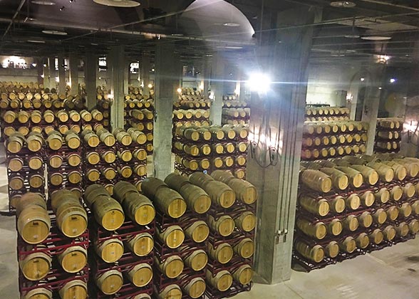 Oak Barrels at Perez Cruz's Cellar, Chile