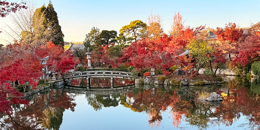 Ohori Park in Autumn