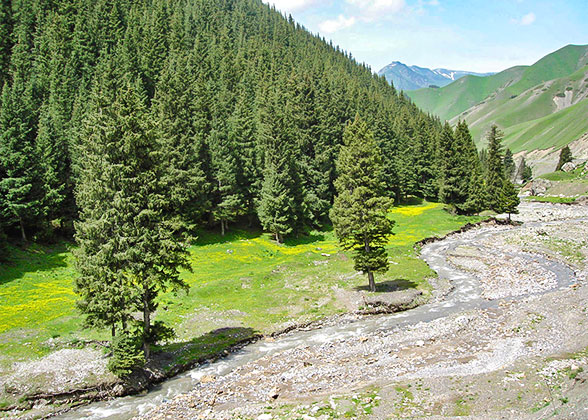 Mountain Views in August