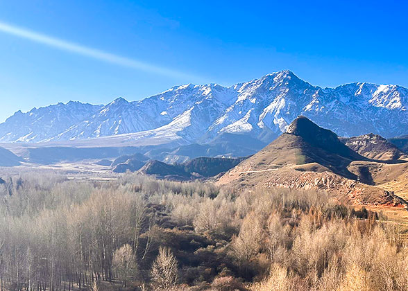 Brown Landscape in Late October