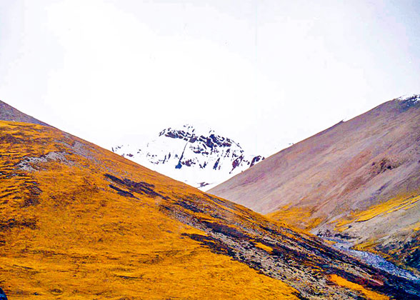 Golden Autumn in Early October