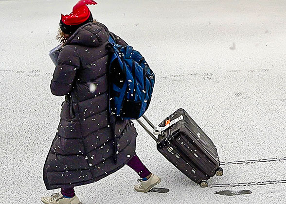 Fully Armed Visitors in January