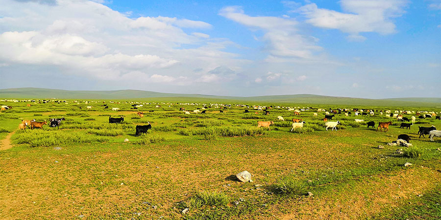 Strong Sunlight in July