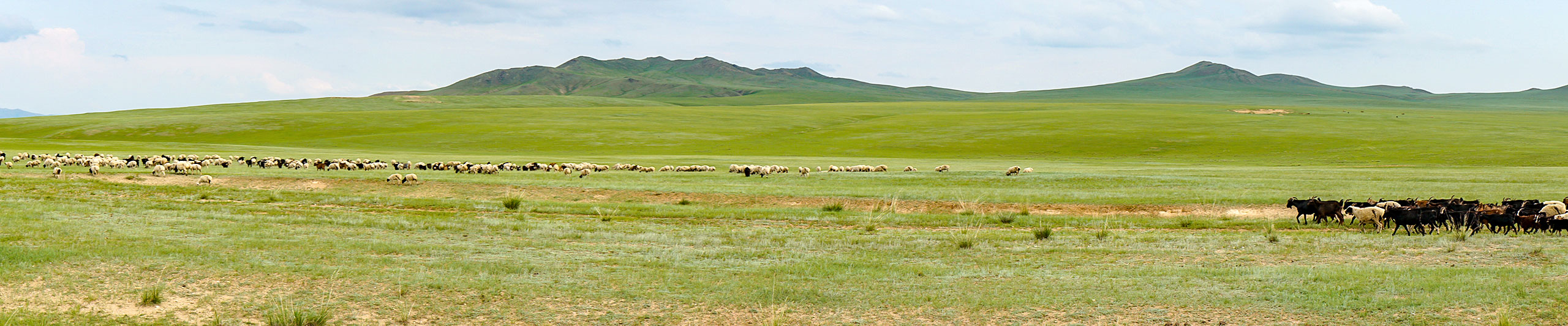 Olgii Weather in July