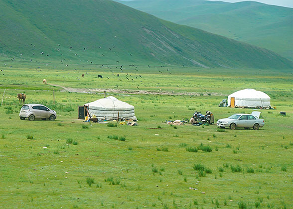 Luxuriant Grassland in June