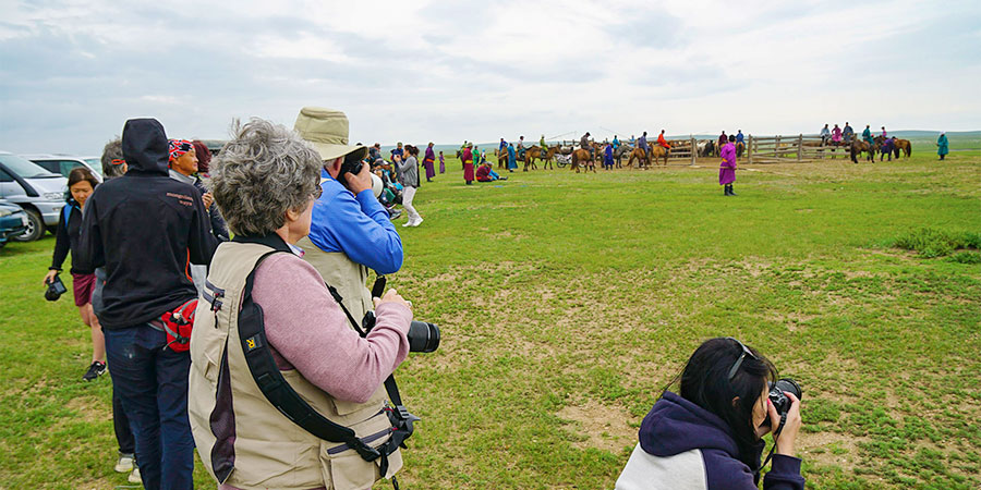 Visitors in Peak Season