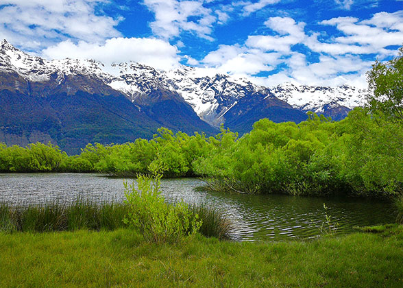 Vibrant Summer in Olgii