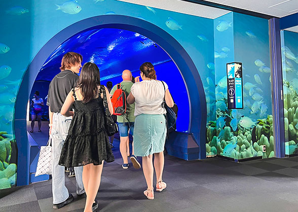 People Enter Aqua Gate