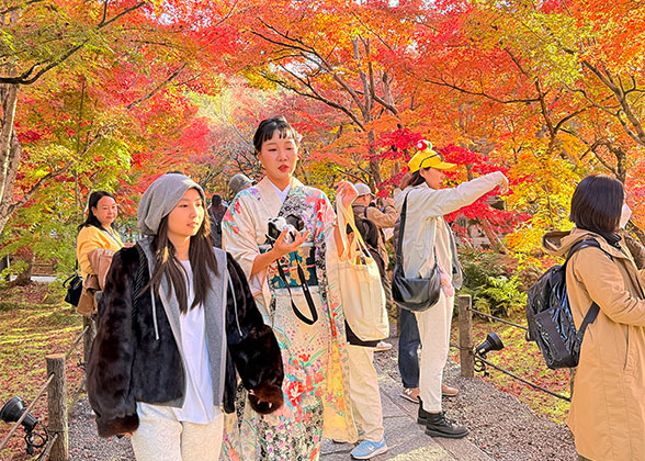 Wear a Kimono and Admire Red Foliage