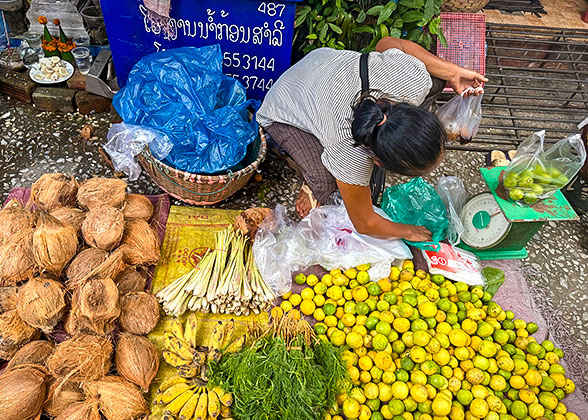 Visit the Phousi Morning Market