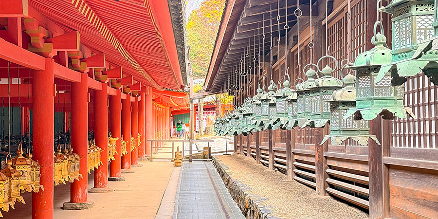 Quiet Nara in February