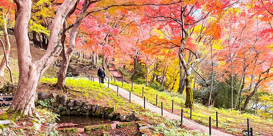 Quieter Garden in Ruriko-in Temple
