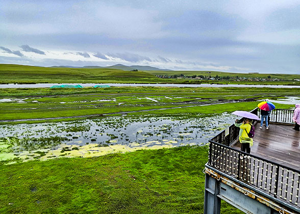 Rainy Karakorum in July