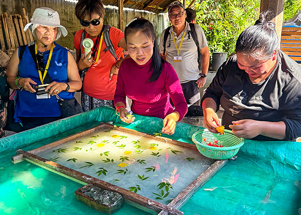 Watch the Saa Paper Making at Ban Xang Khong