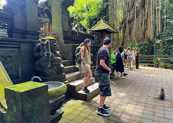 Sacred Monkey Forest Sanctuary