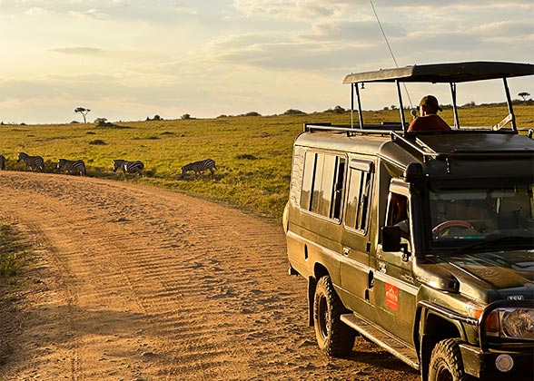 Game Drives to Trace Wild Animals in Zimbabwe