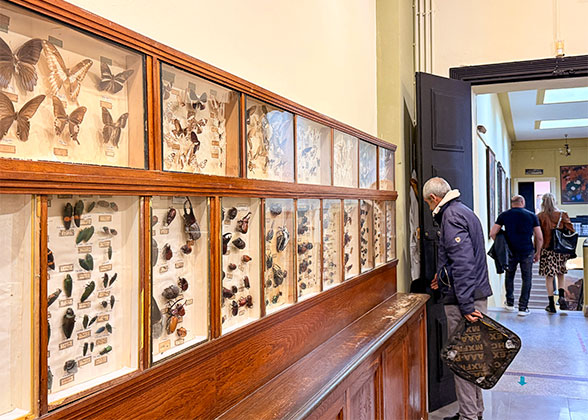 Beni Abbes Museum