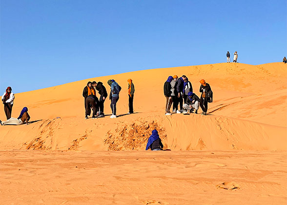 Sahara Sand Dunes